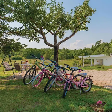 3 Bedroom Gorgeous In Vinjani Gornji Holiday home